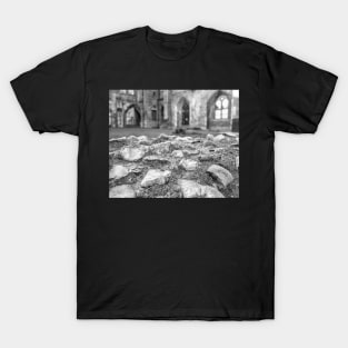 Ancient stone wall T-Shirt